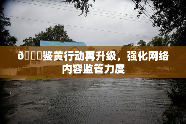 🔞鉴黄行动再升级，强化网络内容监管力度