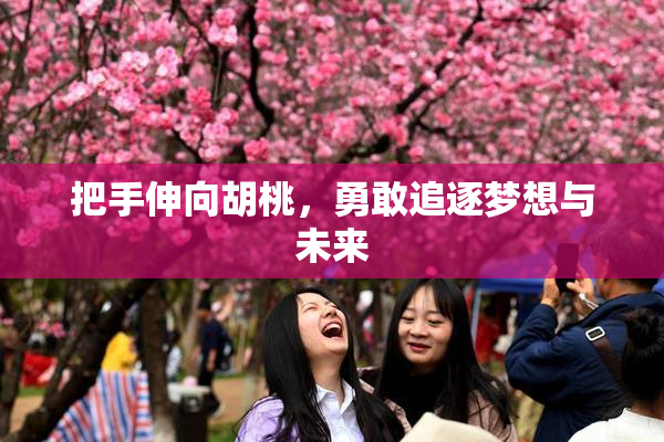 把手伸向胡桃，勇敢追逐梦想与未来