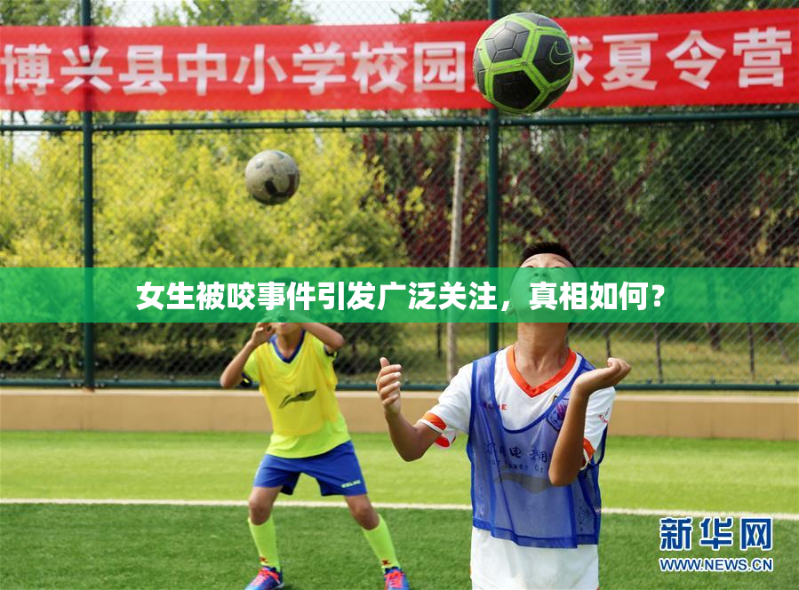 女生被咬事件引发广泛关注，真相如何？
