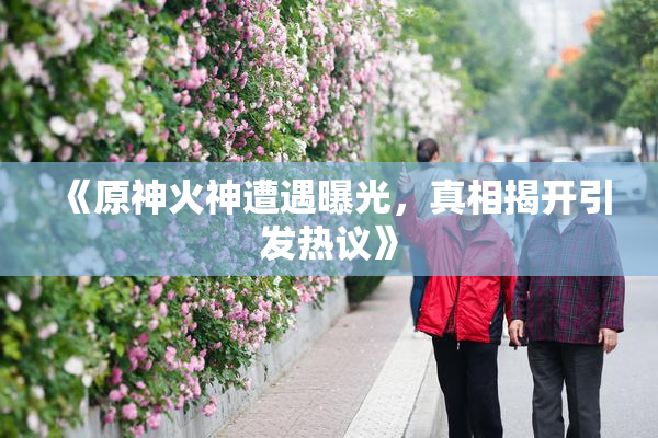 《原神火神遭遇曝光，真相揭开引发热议》