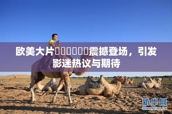 欧美大片❌‌❌‌❌‌震撼登场，引发影迷热议与期待