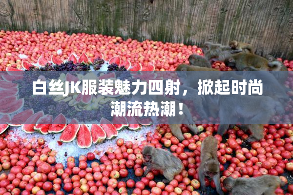 白丝JK服装魅力四射，掀起时尚潮流热潮！