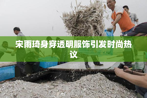 宋雨琦身穿透明服饰引发时尚热议
