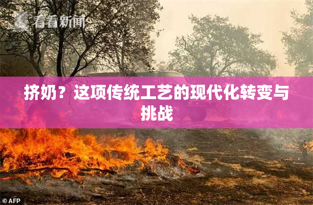 挤奶？这项传统工艺的现代化转变与挑战