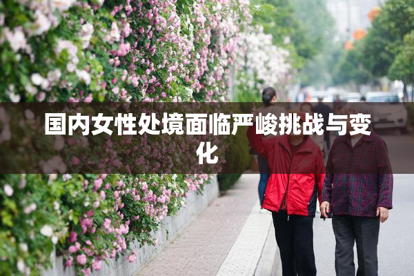 国内女性处境面临严峻挑战与变化