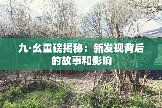 九·幺重磅揭秘：新发现背后的故事和影响