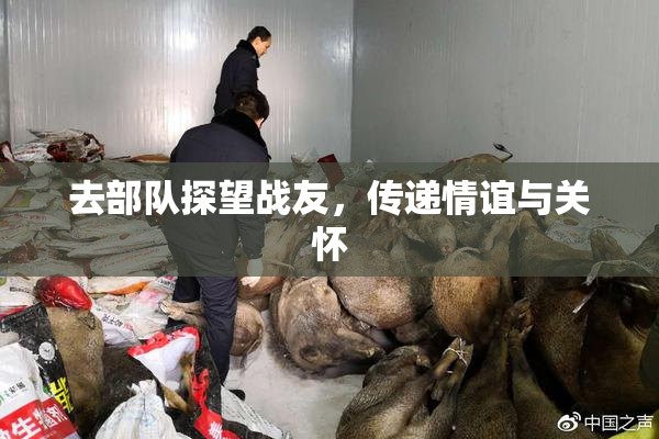 去部队探望战友，传递情谊与关怀