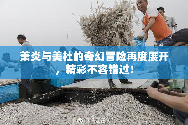 萧炎与美杜的奇幻冒险再度展开，精彩不容错过！
