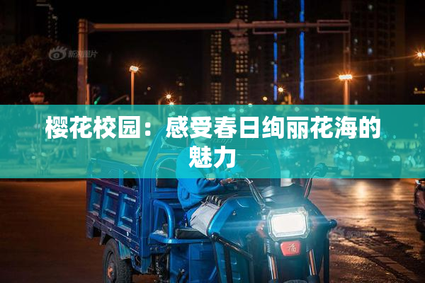 樱花校园：感受春日绚丽花海的魅力