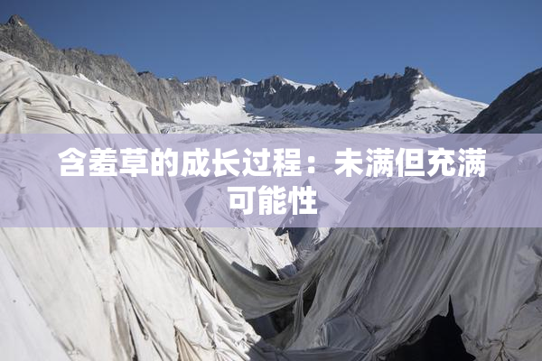 含羞草的成长过程：未满但充满可能性