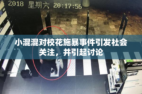 小混混对校花施暴事件引发社会关注，并引起讨论