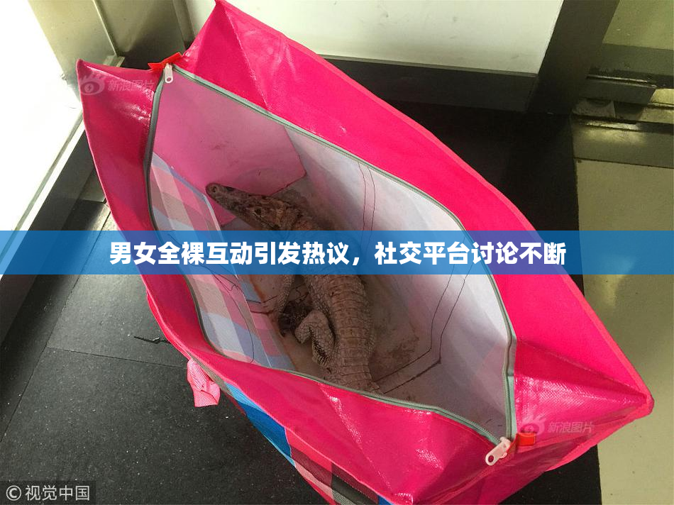 男女全裸互动引发热议，社交平台讨论不断