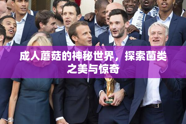 成人蘑菇的神秘世界，探索菌类之美与惊奇