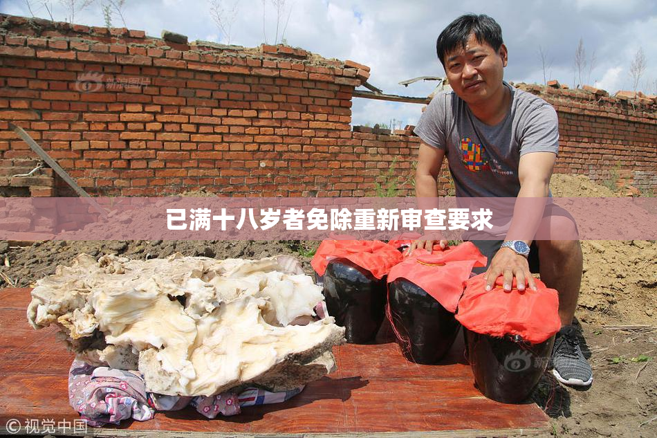 已满十八岁者免除重新审查要求