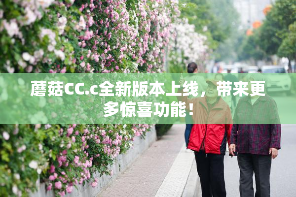 蘑菇CC.c全新版本上线，带来更多惊喜功能！