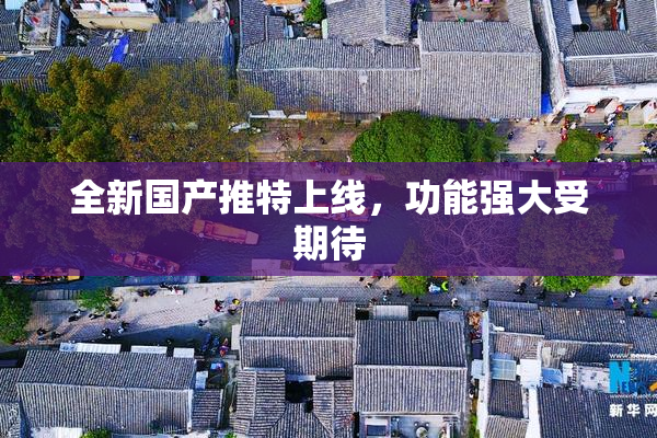 全新国产推特上线，功能强大受期待