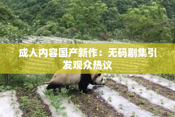 成人内容国产新作：无码剧集引发观众热议
