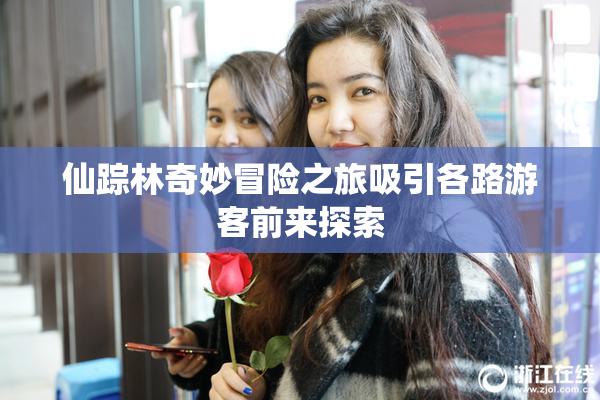 仙踪林奇妙冒险之旅吸引各路游客前来探索