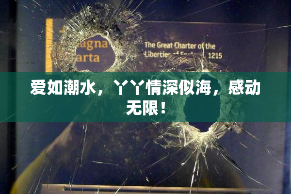 爱如潮水，丫丫情深似海，感动无限！