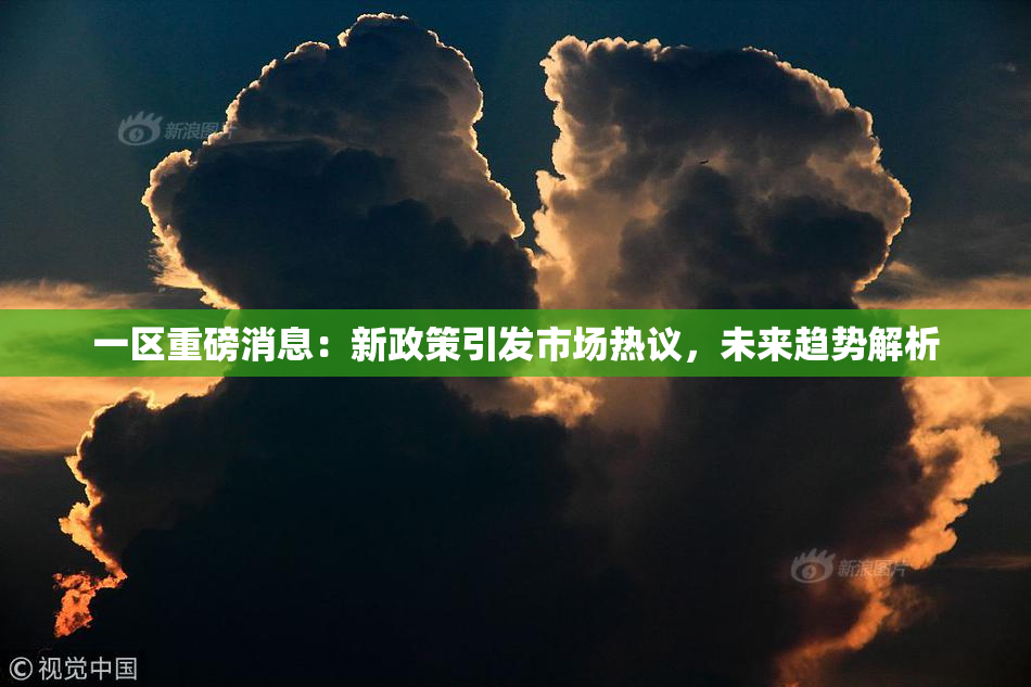 一区重磅消息：新政策引发市场热议，未来趋势解析