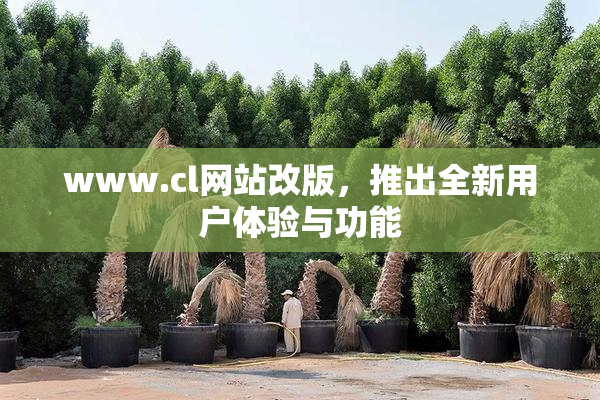 www.cl网站改版，推出全新用户体验与功能