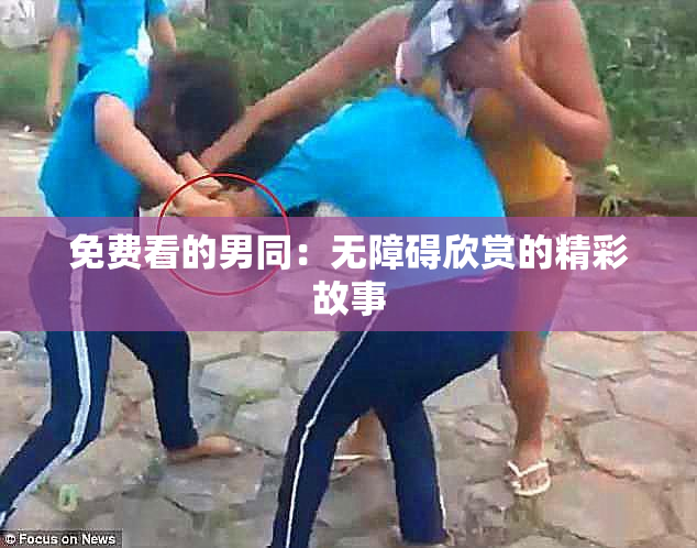 免费看的男同：无障碍欣赏的精彩故事