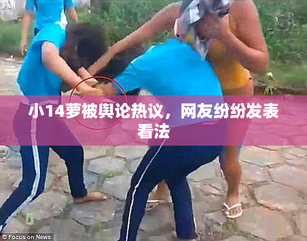 小14萝被舆论热议，网友纷纷发表看法