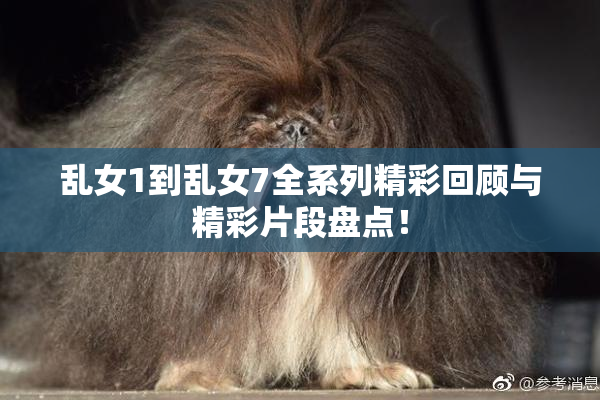 乱女1到乱女7全系列精彩回顾与精彩片段盘点！