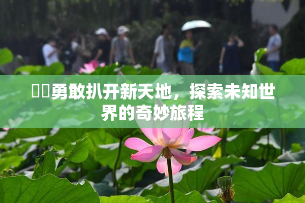 妺妺勇敢扒开新天地，探索未知世界的奇妙旅程