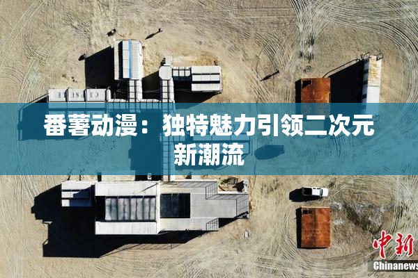 番薯动漫：独特魅力引领二次元新潮流