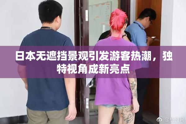 日本无遮挡景观引发游客热潮，独特视角成新亮点