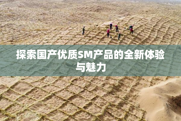 探索国产优质SM产品的全新体验与魅力