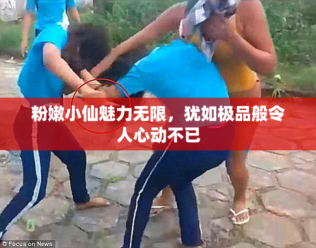 粉嫩小仙魅力无限，犹如极品般令人心动不已