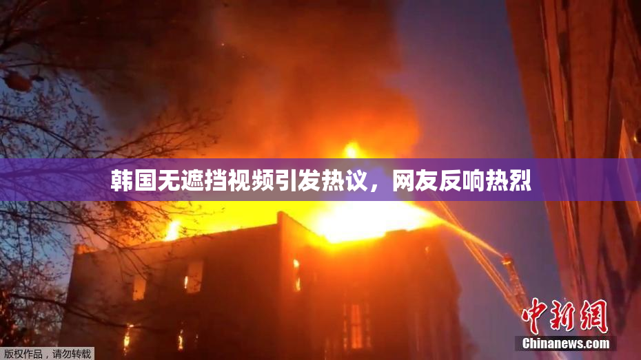 韩国无遮挡视频引发热议，网友反响热烈
