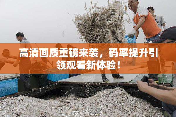 高清画质重磅来袭，码率提升引领观看新体验！