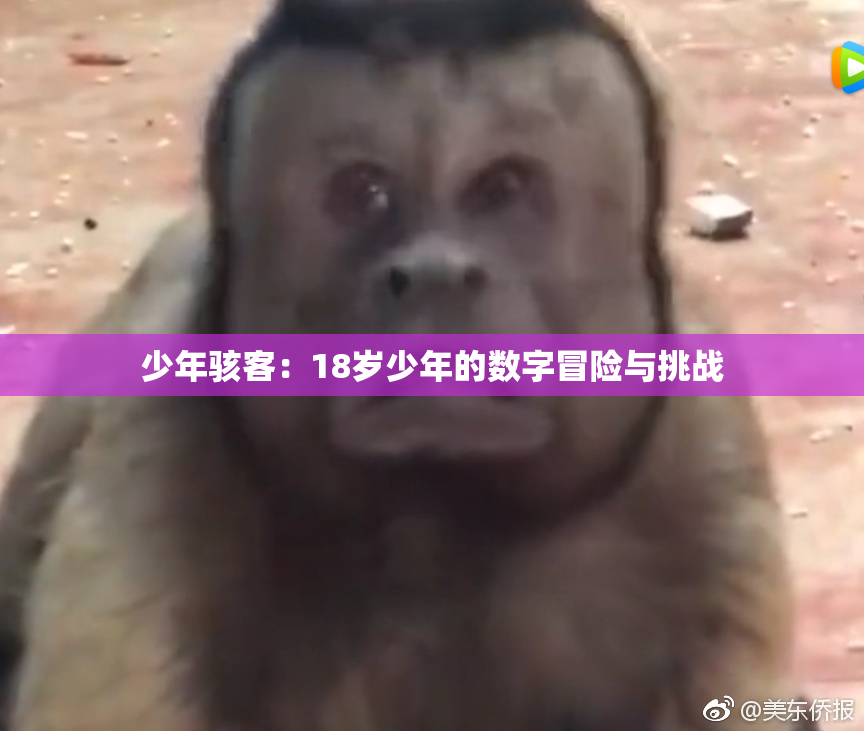 少年骇客：18岁少年的数字冒险与挑战