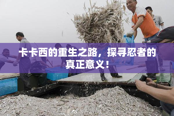 卡卡西的重生之路，探寻忍者的真正意义！