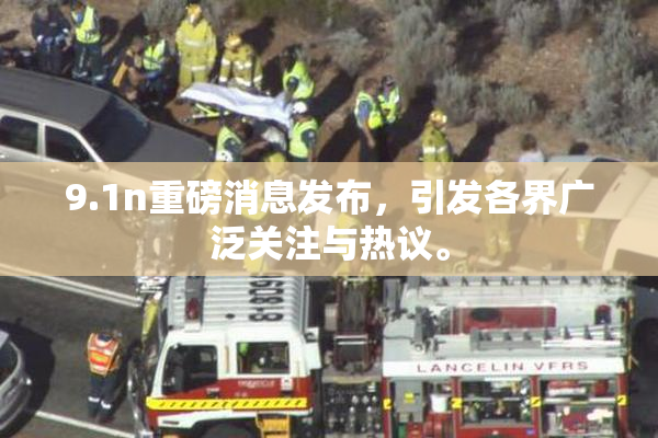 9.1n重磅消息发布，引发各界广泛关注与热议。