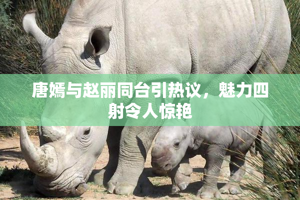 唐嫣与赵丽同台引热议，魅力四射令人惊艳