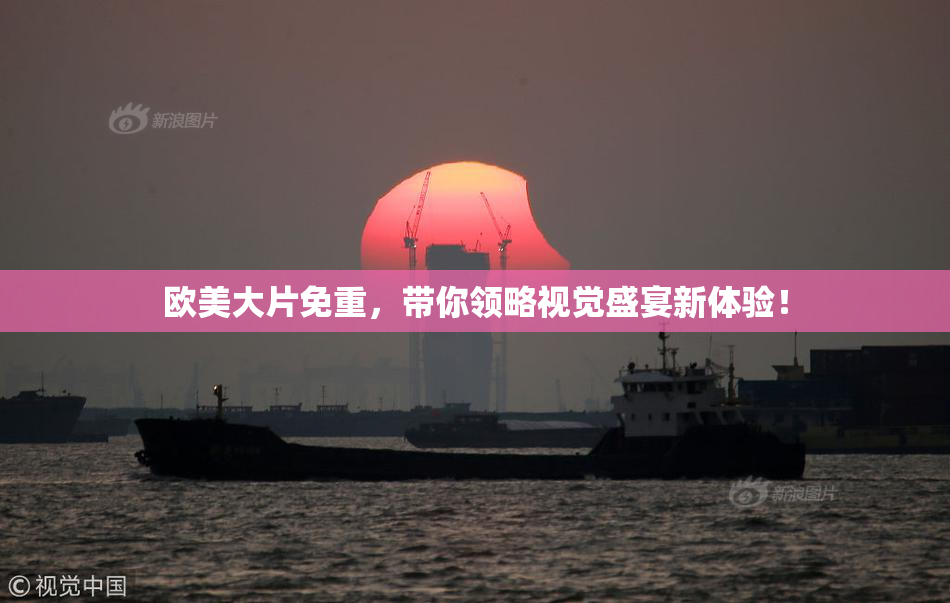 欧美大片免重，带你领略视觉盛宴新体验！