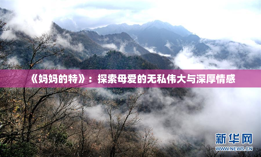 《妈妈的特》：探索母爱的无私伟大与深厚情感