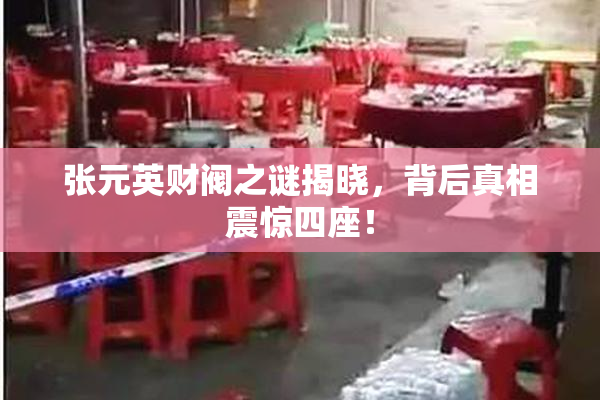 张元英财阀之谜揭晓，背后真相震惊四座！