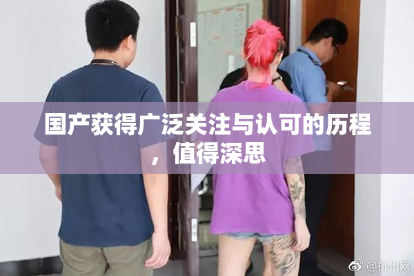 国产获得广泛关注与认可的历程，值得深思