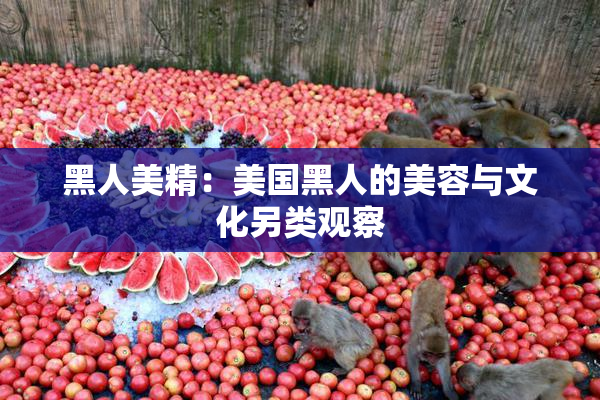黑人美精：美国黑人的美容与文化另类观察