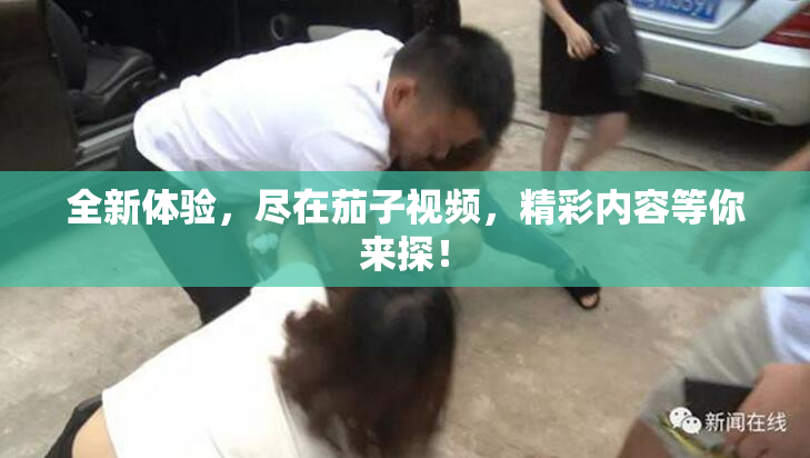 全新体验，尽在茄子视频，精彩内容等你来探！