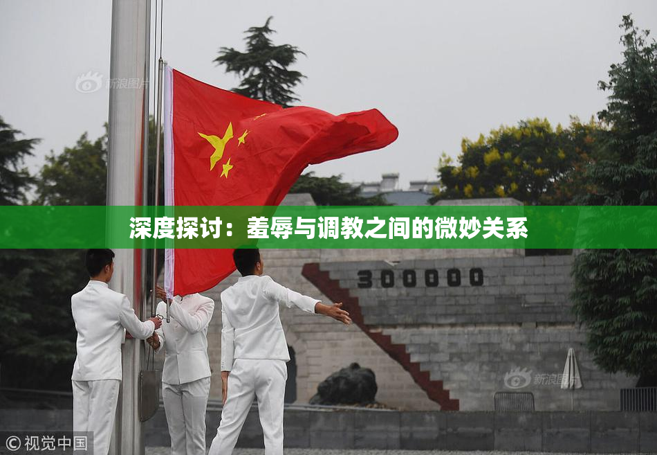 深度探讨：羞辱与调教之间的微妙关系
