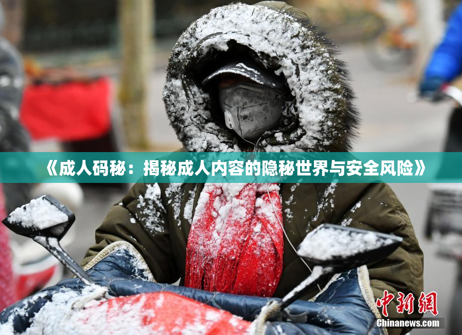 《成人码秘：揭秘成人内容的隐秘世界与安全风险》