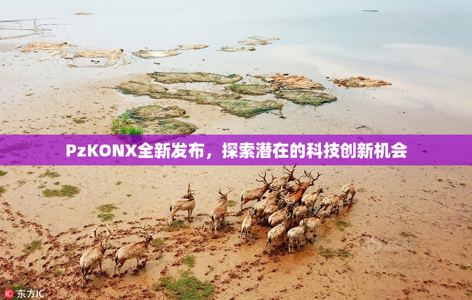 PzKONX全新发布，探索潜在的科技创新机会