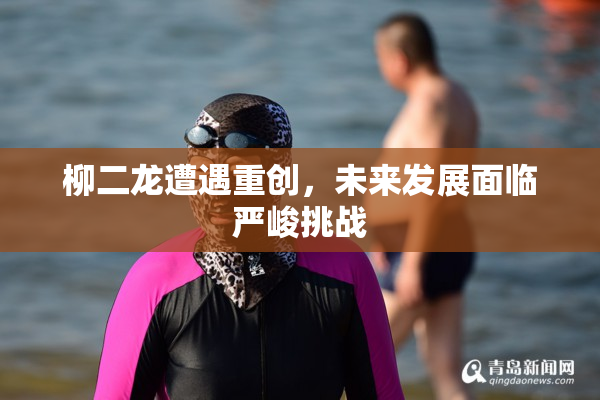 柳二龙遭遇重创，未来发展面临严峻挑战