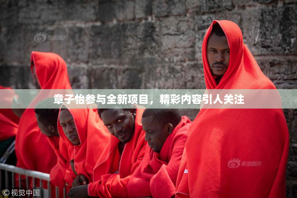 章子怡参与全新项目，精彩内容引人关注